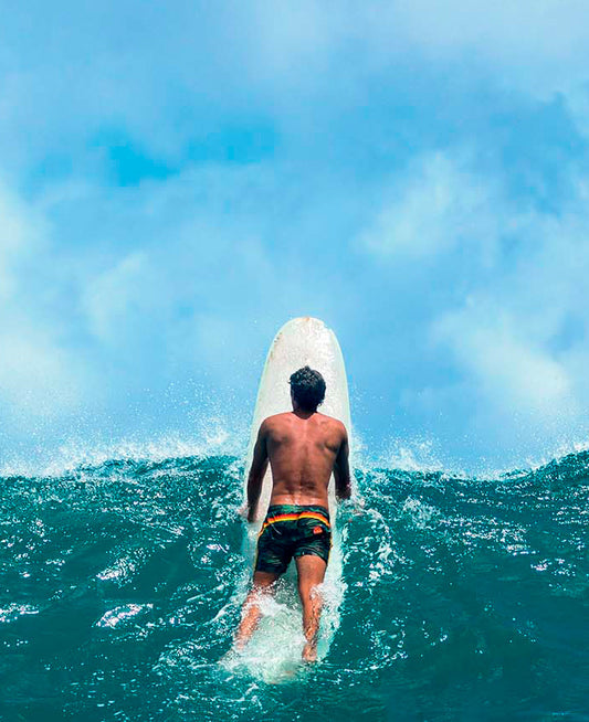 HAWAII: BACK TO THE ROOTS!