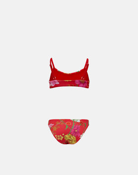BIKINI WITH BANDEAU TOP AND STANDARD BRIEFS